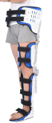 Аппарат на нижние конечности и туловище (ортез) (Hip Joint Fixation Brace)